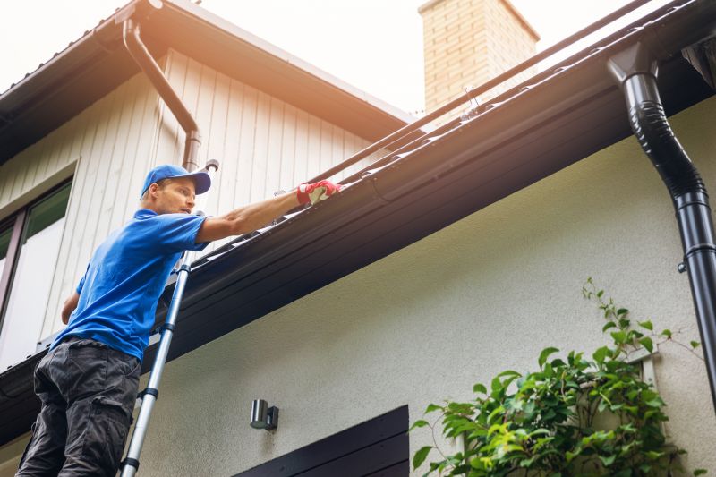 Specialized Gutter Cleaning Services